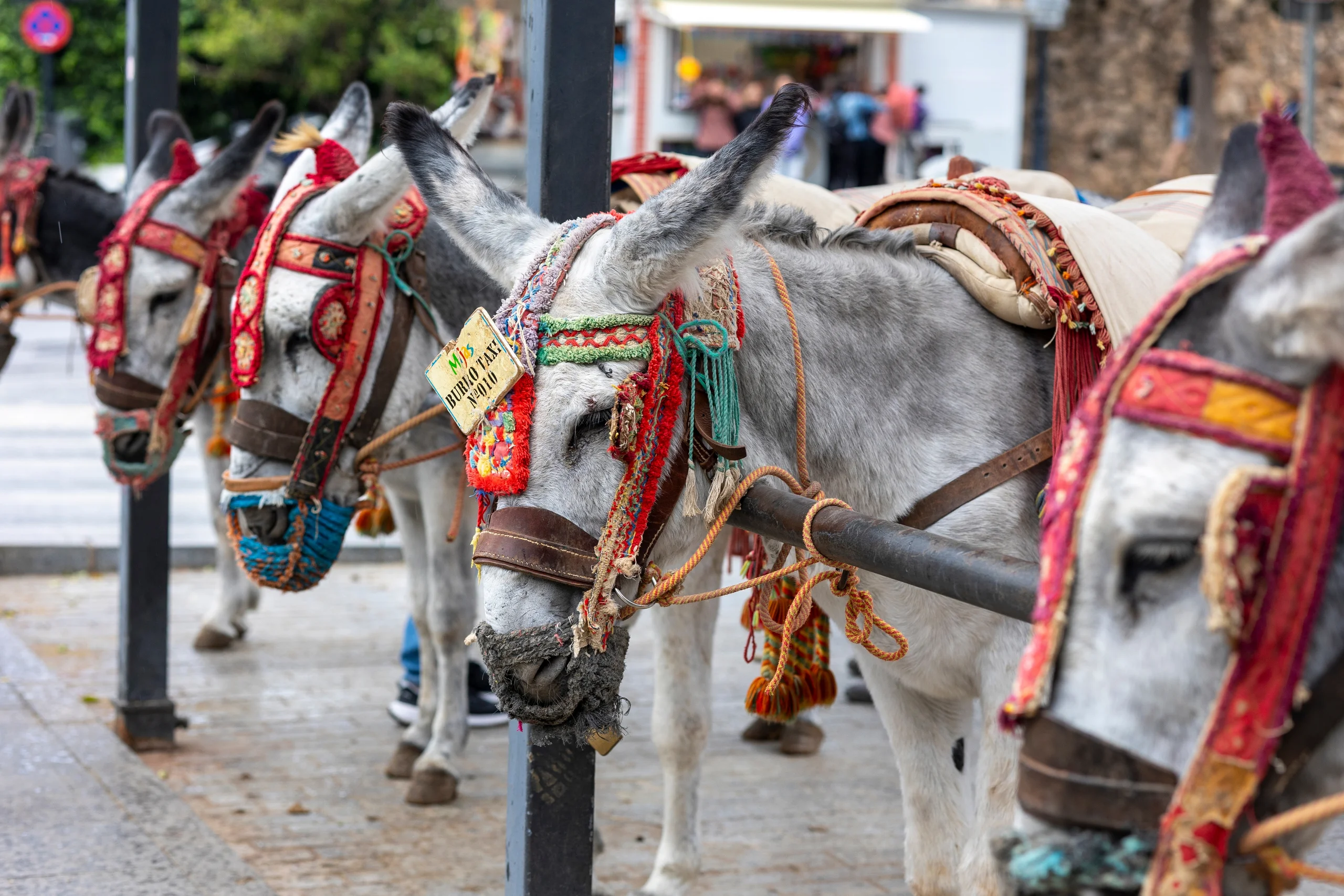 Mijas